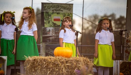 Dożynki gminno-parafialne w Zwierzyńcu [ZDJĘCIA]