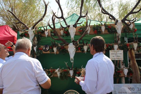 Dożynki w Skierbieszowie [ZDJĘCIA]