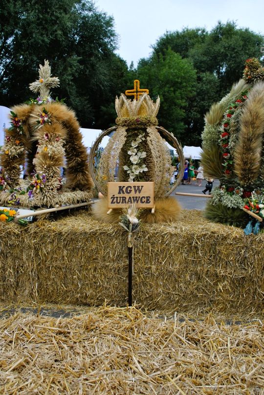 Dożynki powiatu tomaszowskiego w  Tyszowcach [ZDJĘCIA cz. 1]
