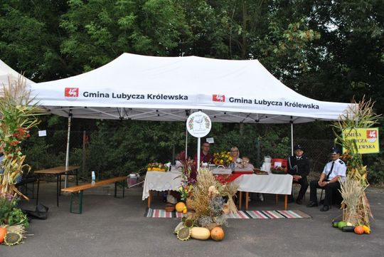 Dożynki powiatu tomaszowskiego w  Tyszowcach [ZDJĘCIA cz. 1]