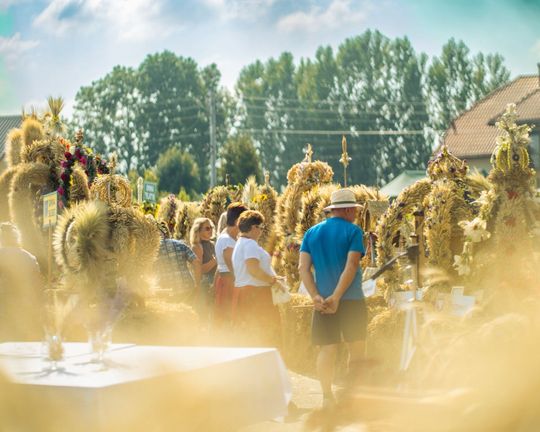 Dożynki powiatu tomaszowskiego w  Tyszowcach [ZDJĘCIA cz. 1]