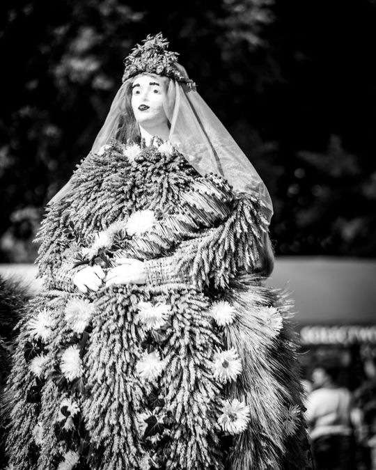 Dożynki powiatu tomaszowskiego w  Tyszowcach [ZDJĘCIA cz. 1]