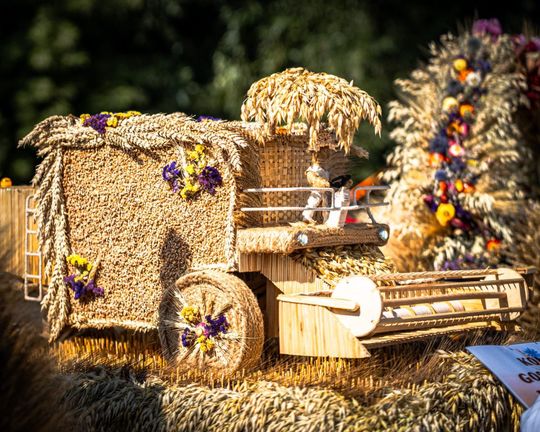 Dożynki powiatu tomaszowskiego w  Tyszowcach [ZDJĘCIA cz. 1]