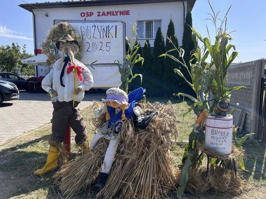 Dożynki powiatu tomaszowskiego w  Tyszowcach [ZDJĘCIA cz. 1]