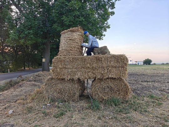 Dożynki powiatu tomaszowskiego w  Tyszowcach [ZDJĘCIA cz. 1]