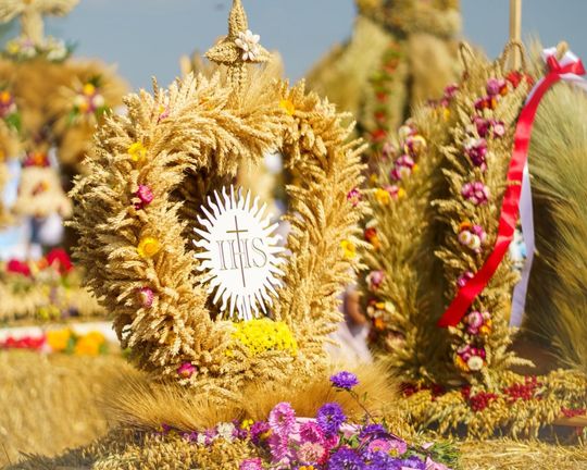 Dożynki powiatu tomaszowskiego w  Tyszowcach [ZDJĘCIA cz. 1]