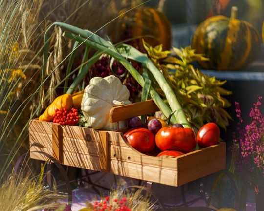 Dożynki powiatu tomaszowskiego w  Tyszowcach [ZDJĘCIA cz. 1]