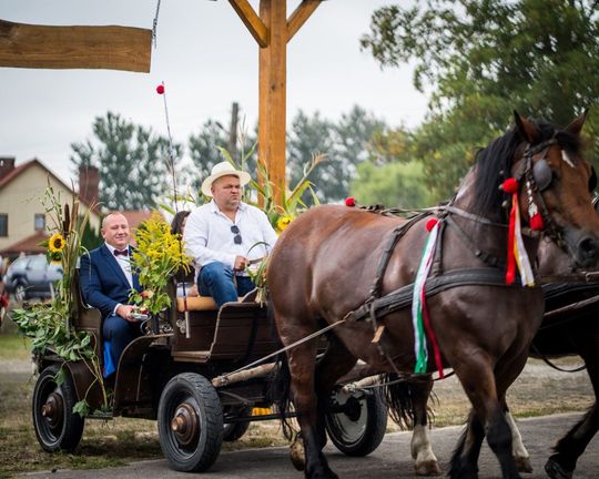 Dożynki powiatu tomaszowskiego w  Tyszowcach [ZDJĘCIA cz. 1]