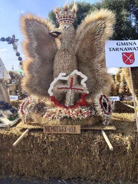 Dożynki powiatu tomaszowskiego w  Tyszowcach [ZDJĘCIA cz. 1]