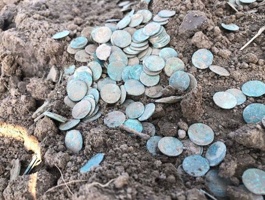 Skarb! 5 tysięcy historycznych monet w Świerszczowie [ZDJĘCIA]
