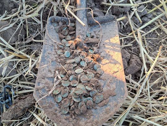 Skarb! 5 tysięcy historycznych monet w Świerszczowie [ZDJĘCIA]