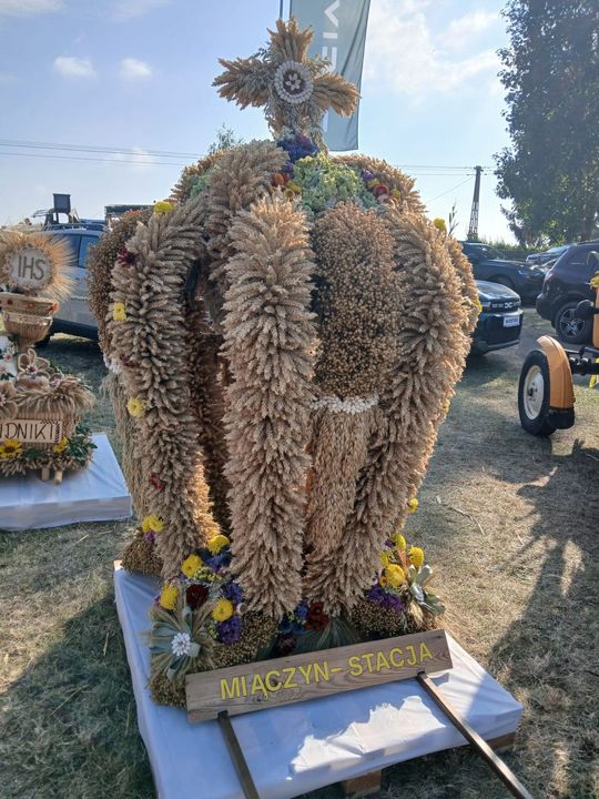 Dożynki gminno-parafialne gminy Miączyn [ZDJĘCIA]