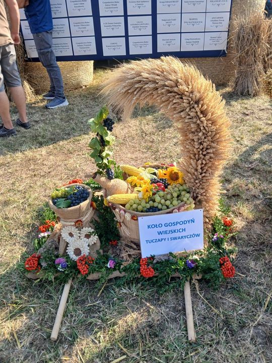 Dożynki gminno-parafialne gminy Miączyn [ZDJĘCIA]