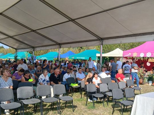 Dożynki gminno-parafialne gminy Miączyn [ZDJĘCIA]