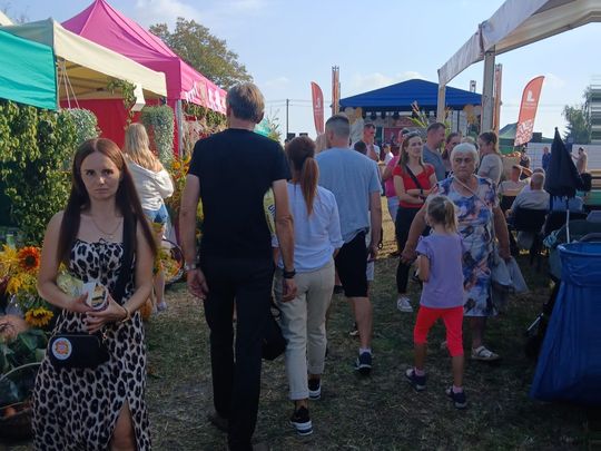 Dożynki gminno-parafialne gminy Miączyn [ZDJĘCIA]