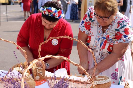Dożynki powiatu tomaszowskiego w  Tyszowcach [ZDJĘCIA cz. 2]