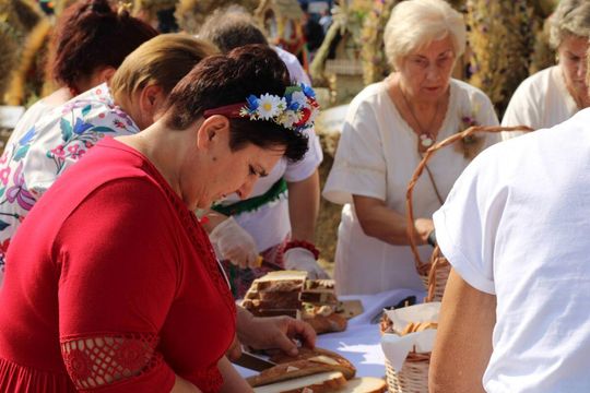 Dożynki powiatu tomaszowskiego w  Tyszowcach [ZDJĘCIA cz. 2]