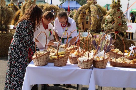 Dożynki powiatu tomaszowskiego w  Tyszowcach [ZDJĘCIA cz. 2]