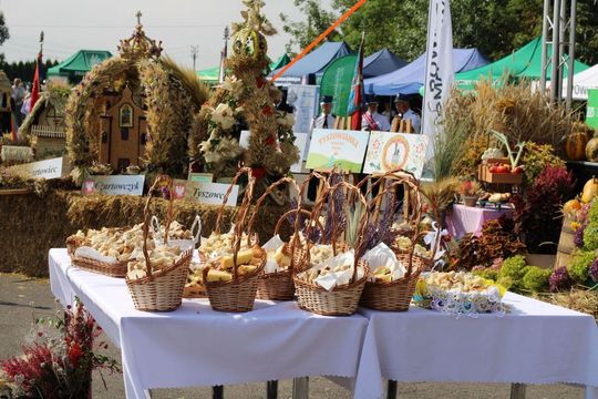 Dożynki powiatu tomaszowskiego w  Tyszowcach [ZDJĘCIA cz. 2]