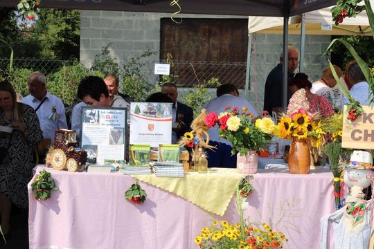 Dożynki powiatu tomaszowskiego w  Tyszowcach [ZDJĘCIA cz. 2]
