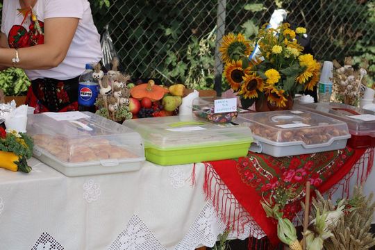 Dożynki powiatu tomaszowskiego w  Tyszowcach [ZDJĘCIA cz. 2]