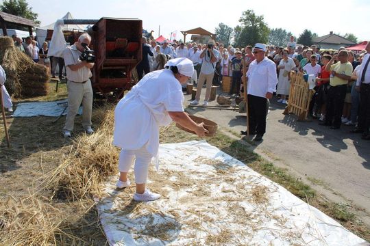 Dożynki powiatu tomaszowskiego w  Tyszowcach [ZDJĘCIA cz. 2]