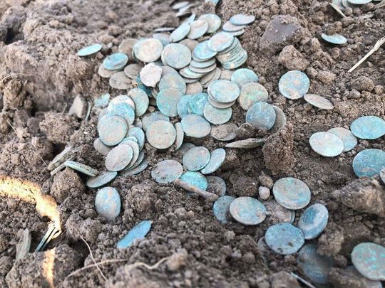 Skarb! 5 tysięcy historycznych monet w Świerszczowie [ZDJĘCIA]