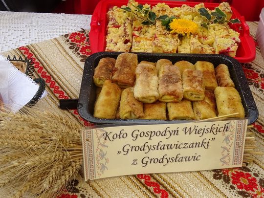 Tyszowce: Dożynki powiatu tomaszowskiego [ZDJĘCIA cz. 3]