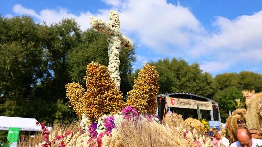 Tyszowce: Dożynki powiatu tomaszowskiego [ZDJĘCIA cz. 3]