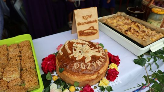 Tyszowce: Dożynki powiatu tomaszowskiego [ZDJĘCIA cz. 3]