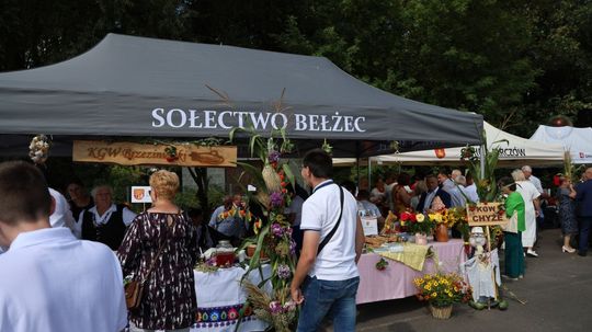 Tyszowce: Dożynki powiatu tomaszowskiego [ZDJĘCIA cz. 3]