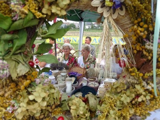 Tyszowce: Dożynki powiatu tomaszowskiego [ZDJĘCIA cz. 3]