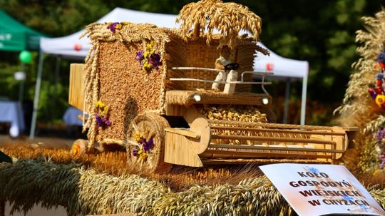 Tyszowce: Dożynki powiatu tomaszowskiego [ZDJĘCIA cz. 3]