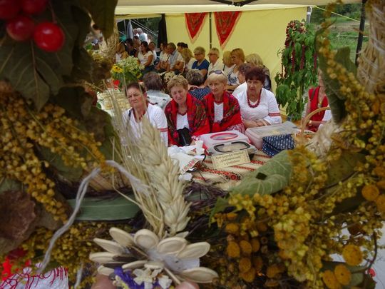 Tyszowce: Dożynki powiatu tomaszowskiego [ZDJĘCIA cz. 3]