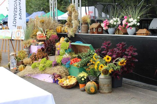 Tyszowce: Dożynki powiatu tomaszowskiego [ZDJĘCIA cz. 3]