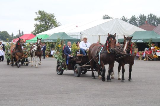Tyszowce: Dożynki powiatu tomaszowskiego [ZDJĘCIA cz. 3]