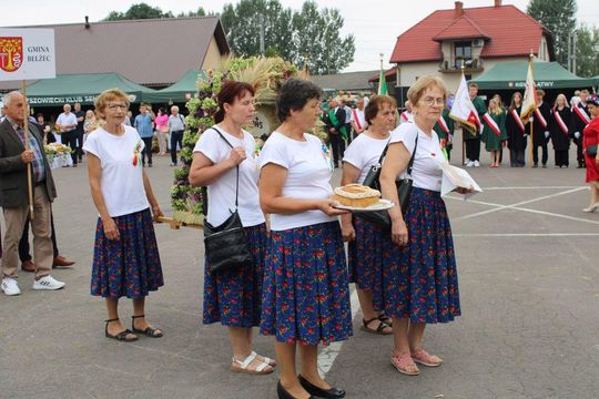 Tyszowce: Dożynki powiatu tomaszowskiego [ZDJĘCIA cz. 3]
