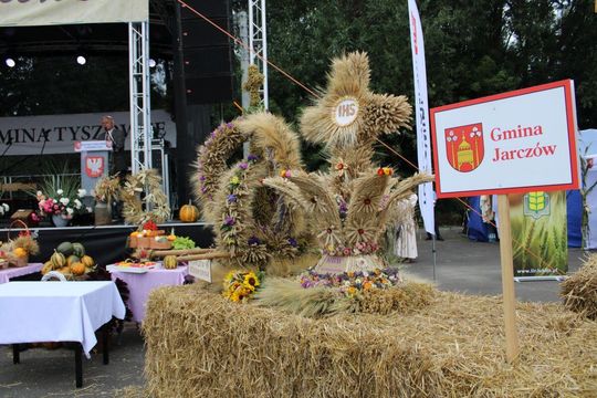 Tyszowce: Dożynki powiatu tomaszowskiego [ZDJĘCIA cz. 3]