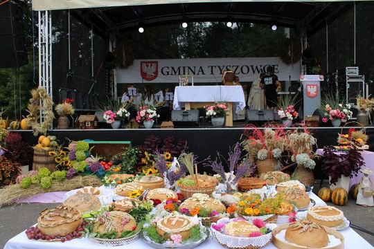 Tyszowce: Dożynki powiatu tomaszowskiego [ZDJĘCIA cz. 3]