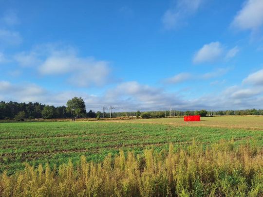 Gdzie spadły drony? W Czosnówce zlokalizowano pierwszy [ZDJĘCIA]