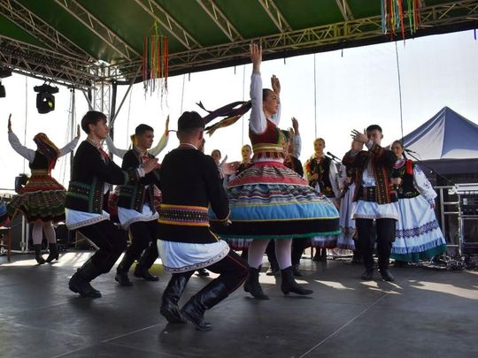 Kozodawy: Dożynki powiatowe [ZDJĘCIA]