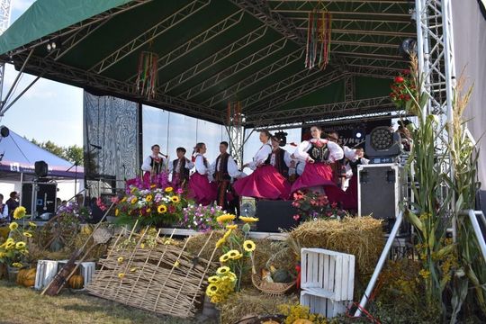 Kozodawy: Dożynki powiatowe [ZDJĘCIA]