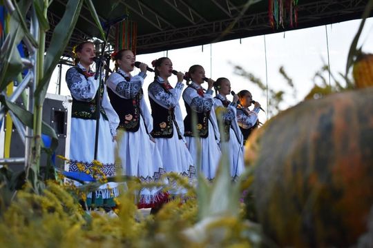 Kozodawy: Dożynki powiatowe [ZDJĘCIA]