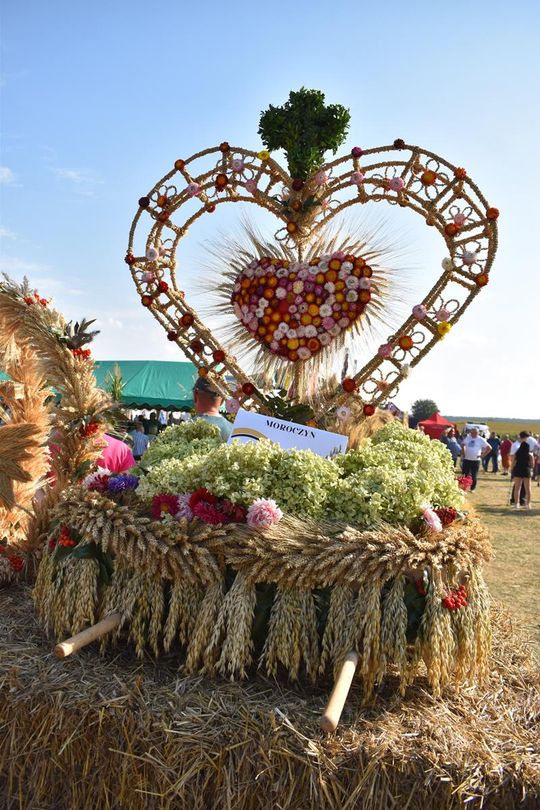 Kozodawy: Dożynki powiatowe [ZDJĘCIA]