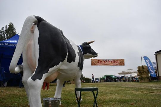 Kozodawy: Dożynki powiatowe [ZDJĘCIA]