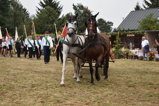 Kozodawy: Dożynki powiatowe [ZDJĘCIA]