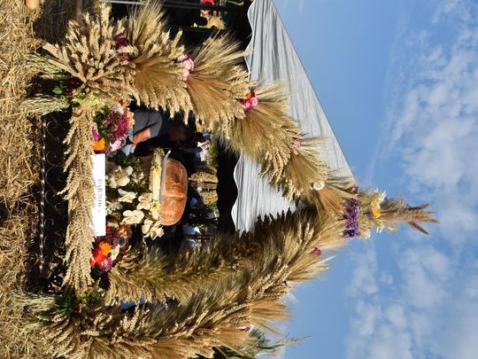 Kozodawy: Dożynki powiatowe [ZDJĘCIA]