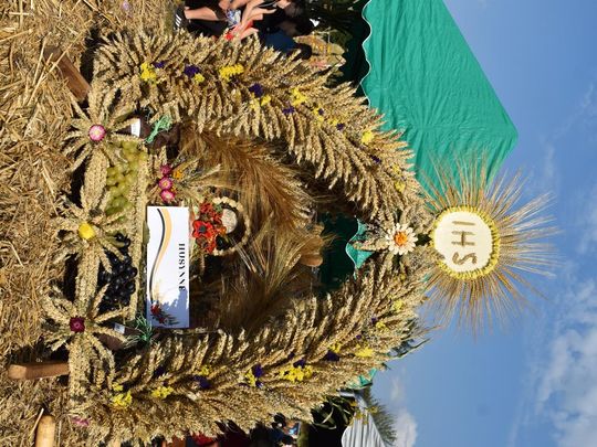 Kozodawy: Dożynki powiatowe [ZDJĘCIA]