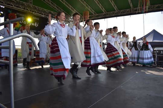 Kozodawy: Dożynki powiatowe [ZDJĘCIA]