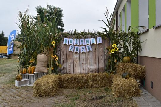 Kozodawy: Dożynki powiatowe [ZDJĘCIA]